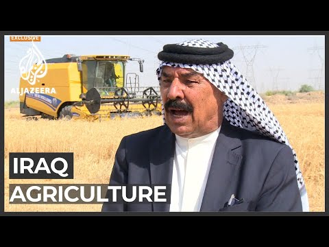 Iraq corruption hindering agriculture sector