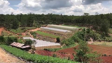 Đất xã Xuân Thọ 8268m2 8 tỉ Tp. Đà Lạt