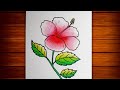 Hibiscus flower drawing how to draw hibiscus flower step by step  hibiscus flower drawing colour