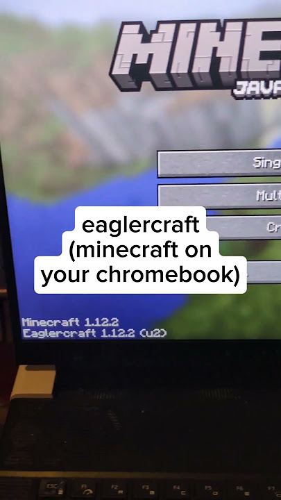 best eaglercraft server out there 💪 #eaglercraft #minecraft #unblockedgames