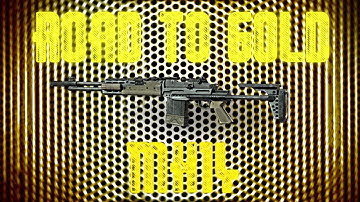 MW3: Road To Gold - (MK14)