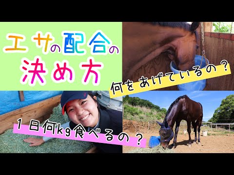 エサの配合ってどうやって決めるの?