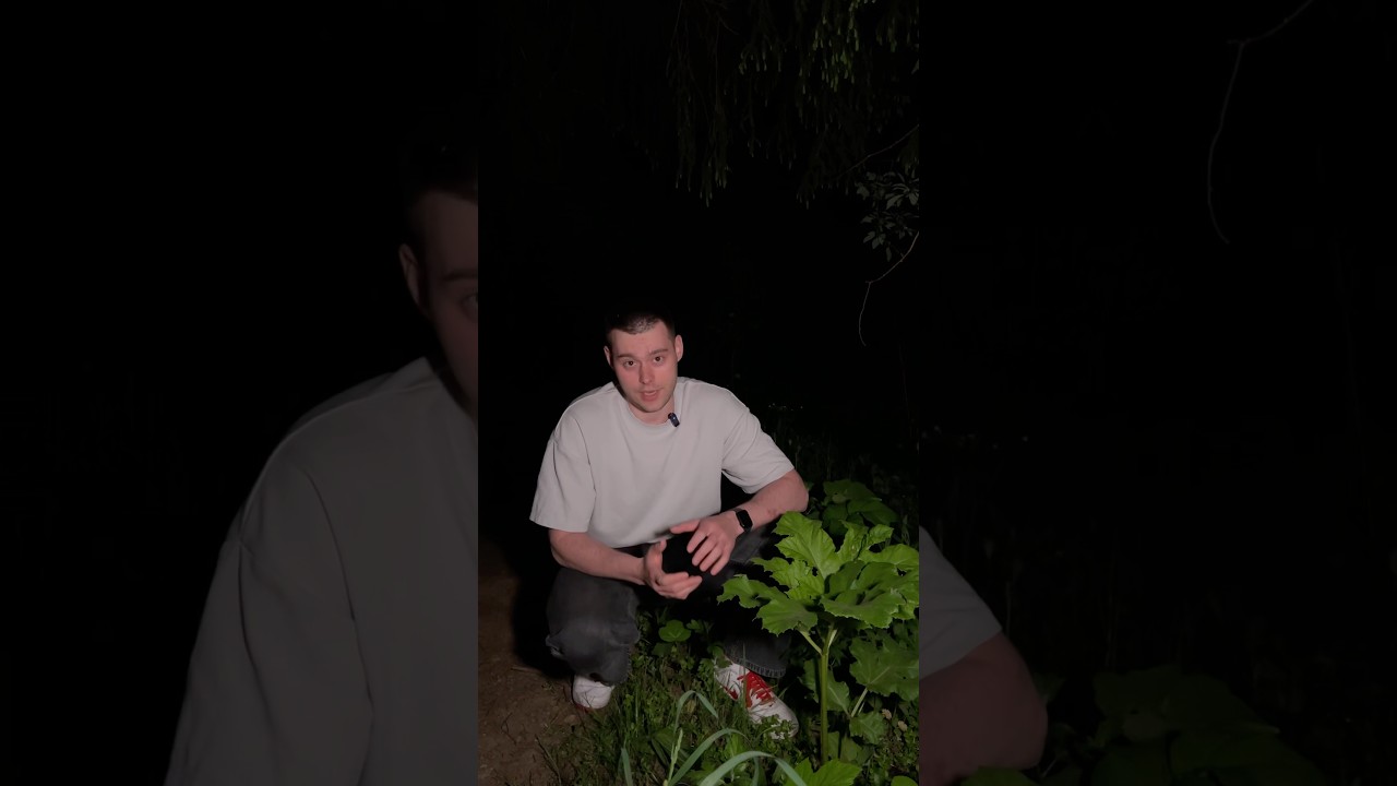 Нашел Костюм убийцы под борщевиком 