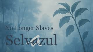 No longer slaves - Cover Bethel Music