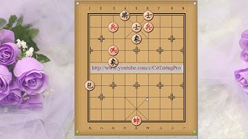 Luyện sát cục || Bài tập và giải bài tập cờ tướng hàng ngày