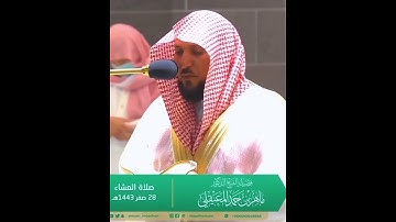 الشيخ ماهر المعيقلي تلاوة مؤثرة أجمل حالات واتس اب قرآن✨❤