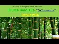 What is "BEEMA BAMBOO" and "OXYGEN PARK"? How is it helpful to combat  climate change?