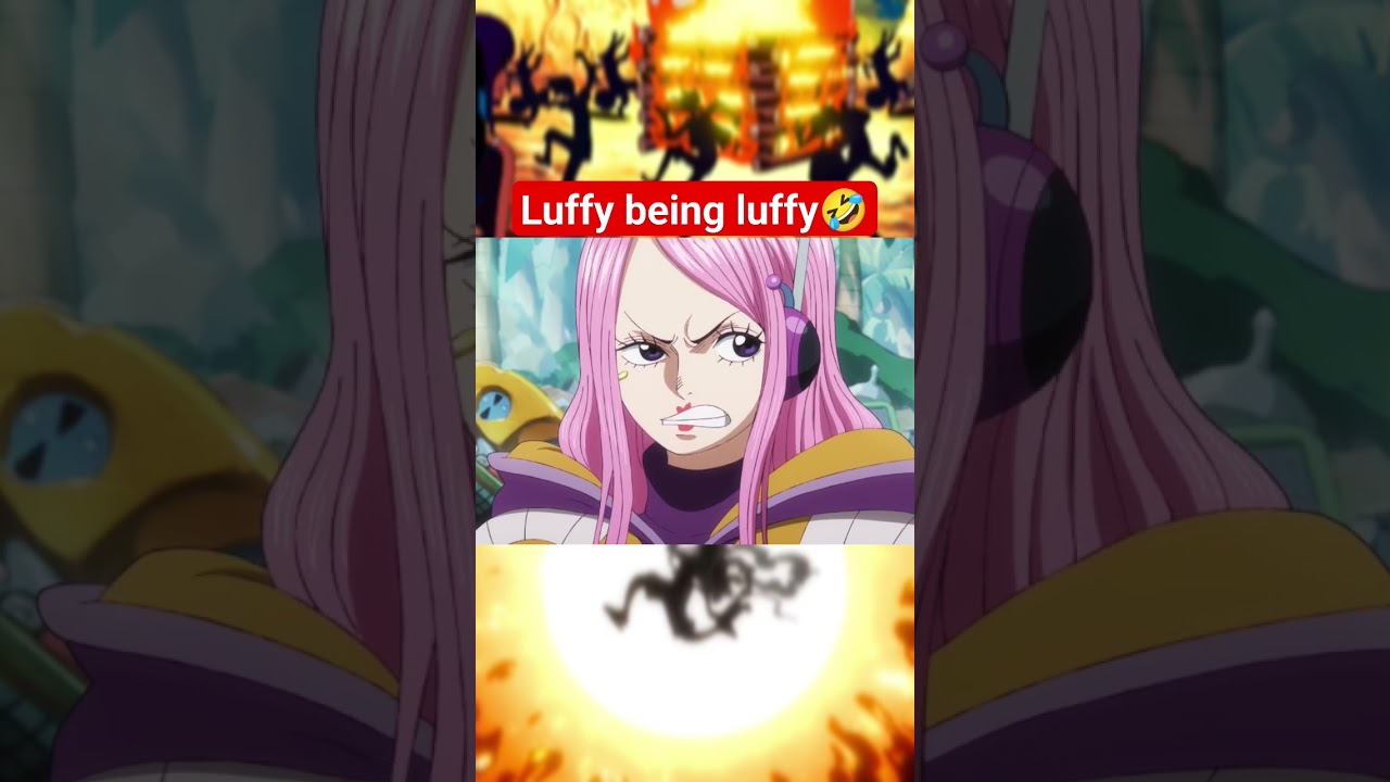 onepiece funny scenes