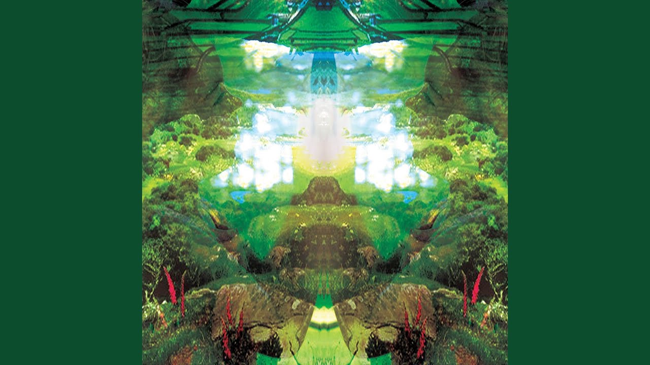 Obejrzyj Forest Stream w YouTube Obejrzyj Forest Stream w YouTube