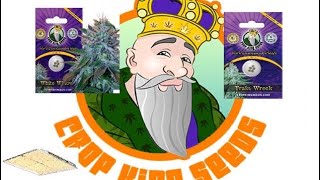 CropKingSeeds Update White Widow + Train wreck AF