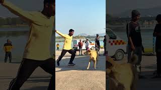 Dog is😰best🐶 and amazing dog flip #viraljump#dogshorts #dogclothes #animals #youtube #petshub