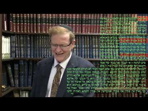 Bekhorot 12a - Youtube