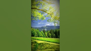 سورة الشورى بصوت الشيخ محمود خليل الحصري رحمه الله #الرحمن #المصحف #تلاوة #قران_كريم #راحة_نفسية