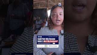 Could Fish Skin Become Belize’s Next Big Business?