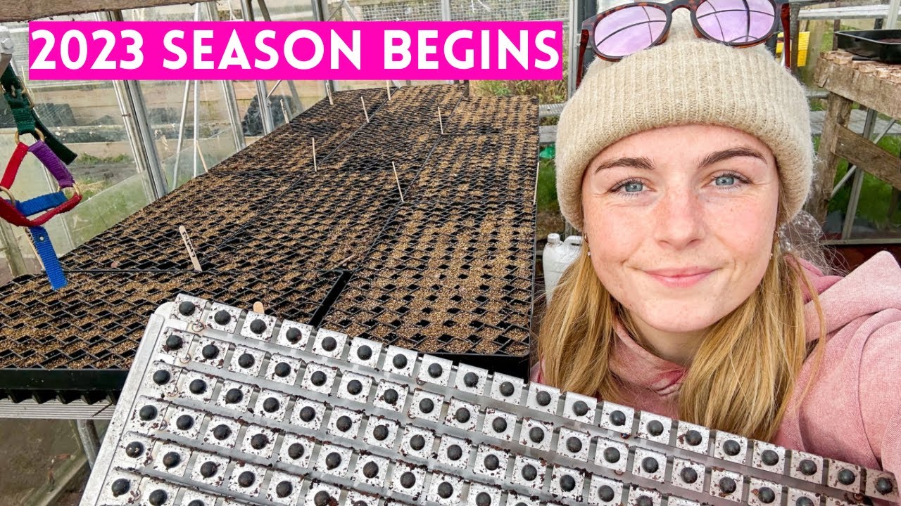 Sowing The First Cut Flower Seeds Of 2023 For My Flower Farm YouTube