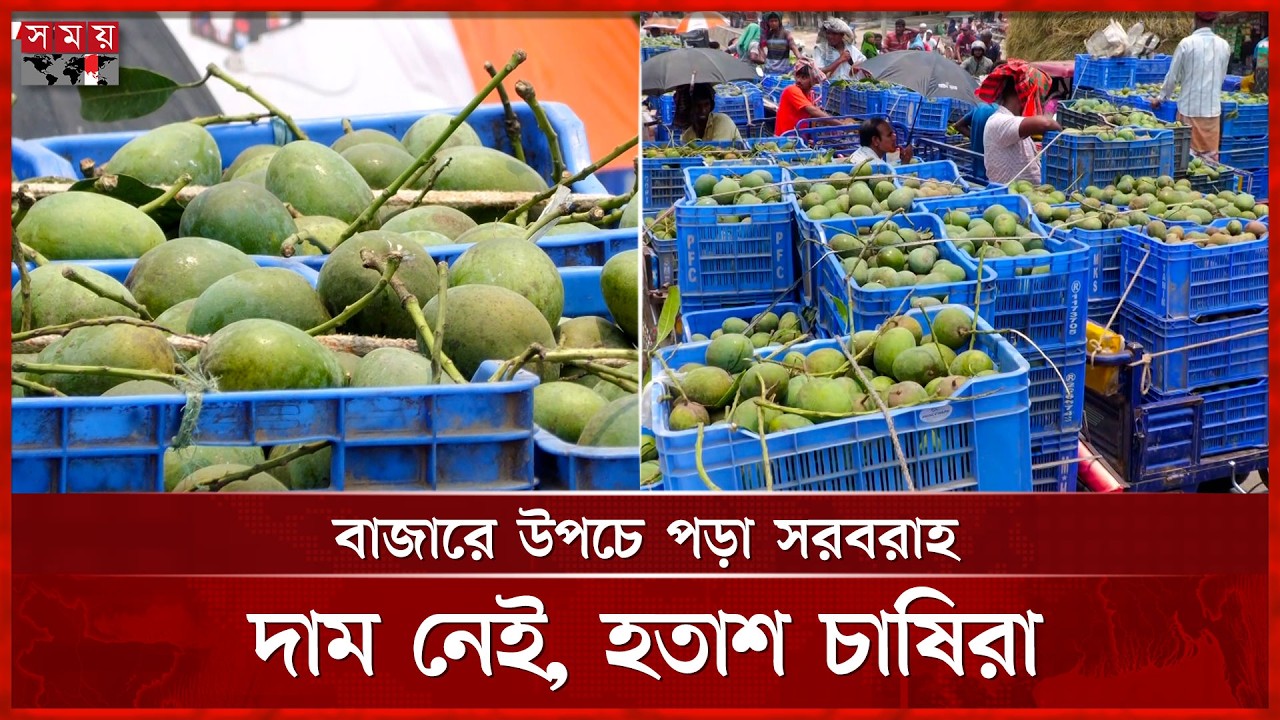 নওগাঁর হাটে আমের ঢল, খুশি ক্রেতা কিন্তু কাঁদছে চাষী | Mango | Market | Somoy TV