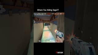 200IQ Sage #valorant #valorantclips #gaming #sagewalls