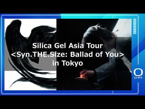 【SILICA GEL（シリカゲル）】Silica Gel Asia Tour ＜Syn.THE.Size: Ballad of You＞ in Tokyo