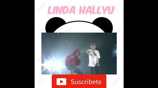 PERSONA (live) - RM