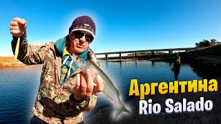 Рыбалка на Rio Salado. Рыбалка в Аргентине