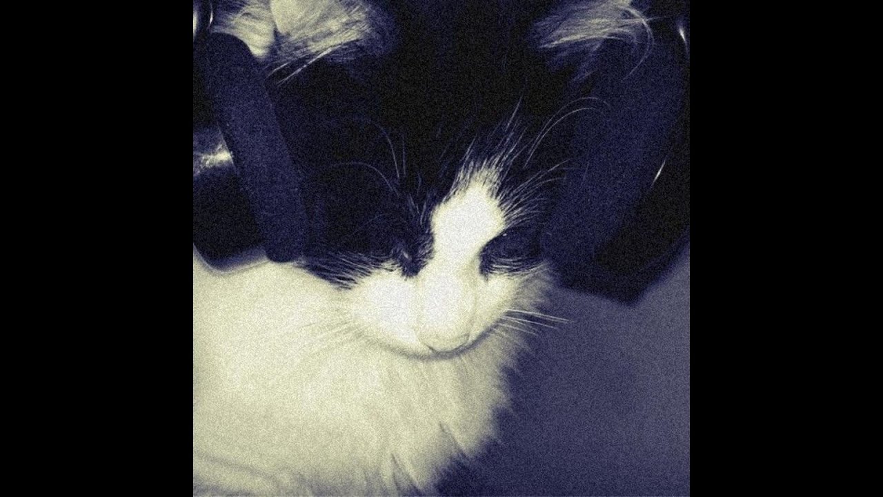 bouncy melodic lostrushi / lucy bedroque type beat - 