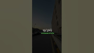 #ياسر_الدوسري #القرآن_الكريم #راحة_نفسية #آيات #قرآن #اجر_لي_ولكم #دين #اكسبلور