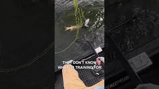 Stretches For The Betches