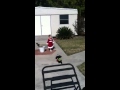 Adrianna &amp; sassy playing Santa