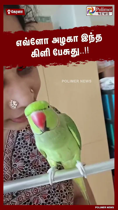 எவ்ளோ அழகா இந்த கிளி பேசுது..!! #shorts