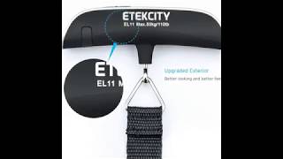 Etekcity Digital Hanging Luggage Scale Rubber Paint Temperature Sensor 110 Pounds, Silver  reviews