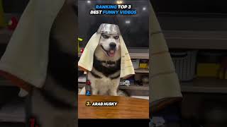 Ranking Top 3 Best Funny Videos #funny #hilariousfails #memes #fail