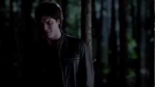 The Vampire Diaries (4x02) The Memorial : Damon misses  Alaric and  talks to his Grave