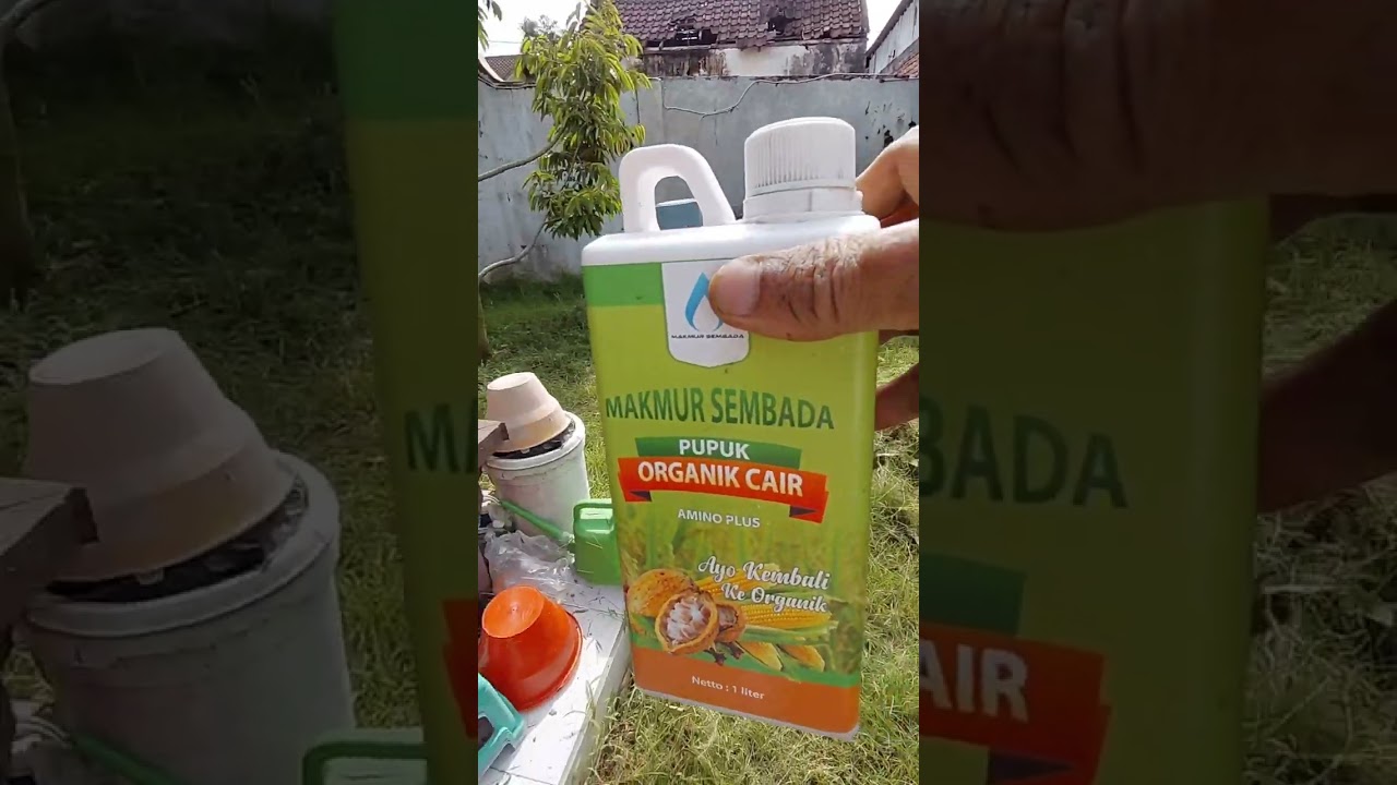 ASAM AMINO PLUS  MICROBA PENGURAI POSFAT..???