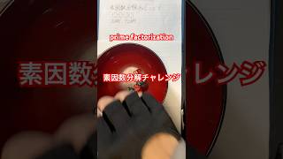 素因数分解チャレンジ! prime factorization