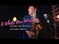 A WHOLE NEW WORLD (Peabo Bryson / Regina Belle) Angelo Torres Saxophone Cover -AT Romantic CLASS #53