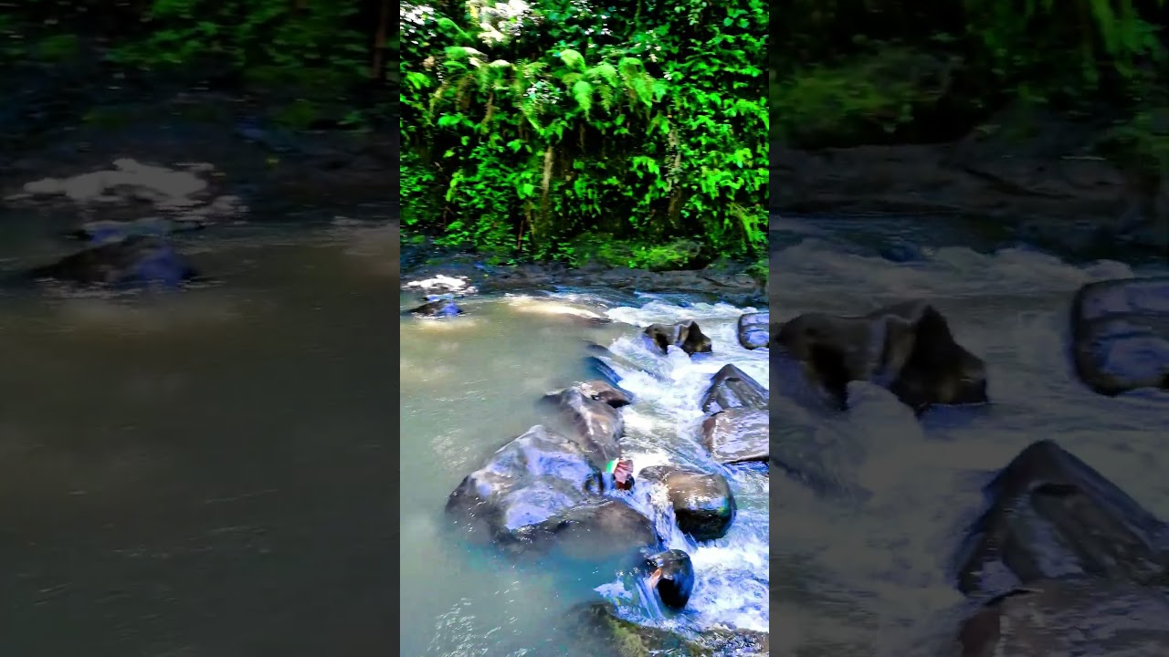 Jungle River | A Hidden Natural Retreat  