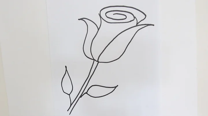 How to draw a rose flower - Easy step-by-step draw...