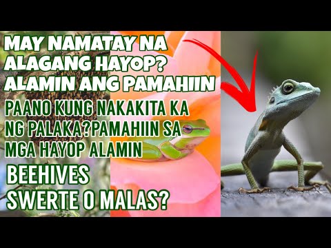 Video: Alam Ba Ng Mga Alagang Hayop Kailan Sila Mamamatay?