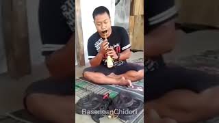 Download Lagu Tet teroreroreroret tetet 🐍🐍🐍 MP3 Download Lagu Tet teroreroreroret tetet 🐍🐍🐍 MP3