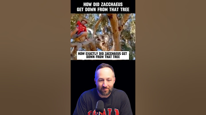 Zacchaeus’ Tree Climb: What happened Next Will Surprise You😂#shorts #jesus #bible #christian