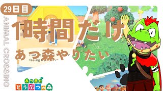 【29日目】1時間だけあつ森やりたい【川鰐グラムのあつまれどうぶつの森実況】（あつ森・ポケ森）