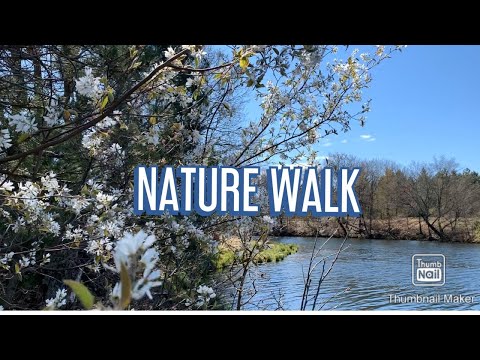 NATURE WALK |SPRING