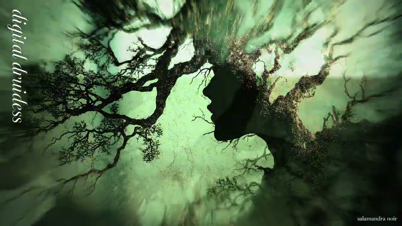 salamandra noir — digital druidess (full album) | organic glitch & experimental folk