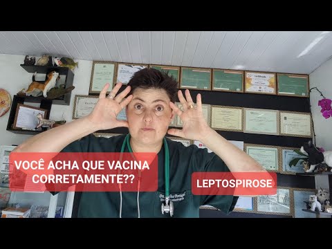 Vídeo: A vacina Lepto4 é perigosa para cães?