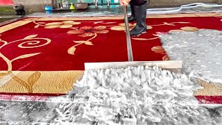 The most oddly satisfying Rug Scraping compilation video №4