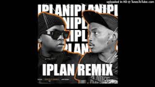 DLALA THUKZIN(IPLAN REMIX) SHEBESHXT & RIG_LION VISION Aus Jobe Remix