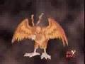 Birdramon Digivolve To Garudamon 