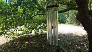 When the wind sings : Natural sound melody