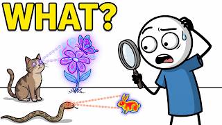 Information What Can Animals See That We Can’t News