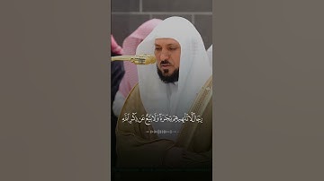 تلاوة فضيلة الشيخ د. #ماهر_المعيقلي #almuaiqly100 من صلاة العشاء ١١ شوال  ١٤٤٦هـ.